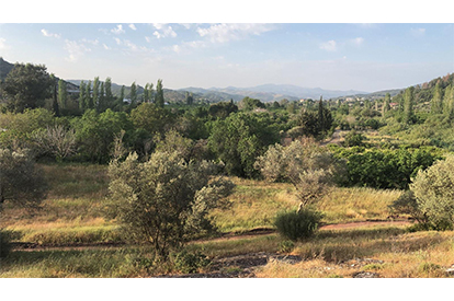 Seferihisar'da Doğa Manzaralı Villa Arsaları