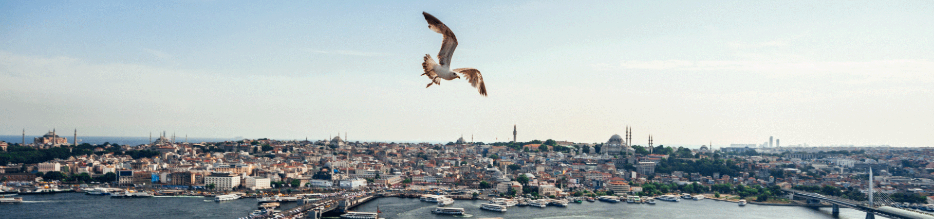 Yüzüncü Yıl Proje İnşaat